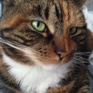 Meet your Posher, Alice